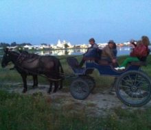 Ruta con carruaje por el Rocío. Irconniños.com