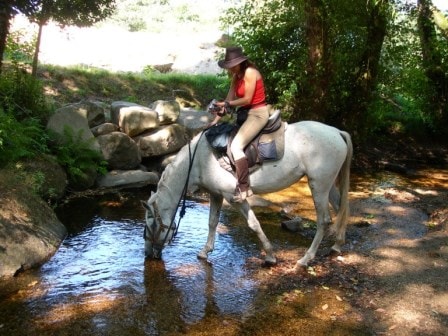 Rutas en caballo por Santiago. Irconniños.com