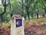 Excursiones y visitas guiadas en Galicia. Irconniños.com