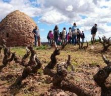 Vincana, la yincana del vino. Irconniños.com