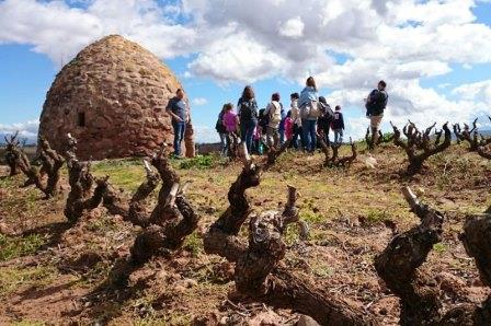 Vincana, la yincana del vino. Irconniños.com