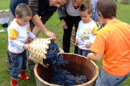 Vendimia en familia y amigos. Irconniños.com