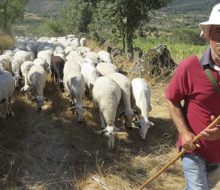 Caminos del Pastor. Irconniños.com