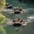 Rafting en el Cañón de Almadenes. Irconniños.com