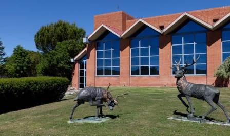 Hotel Ciudad de Burgos. Irconniños.com