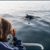 Excursión marítima ballenas y delfines. Irconniños.com