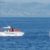 Excursión marítima ballenas y delfines. Irconniños.com