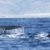 Excursión marítima Orcas. Irconniños.com
