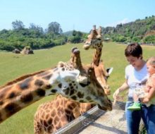 Taquilla Online Parque de la Naturaleza de Cabárceno. Irconniños.com