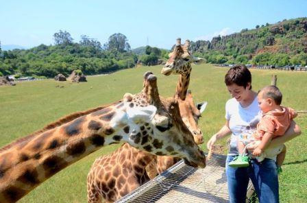 Taquilla Online Parque de la Naturaleza de Cabárceno. Irconniños.com