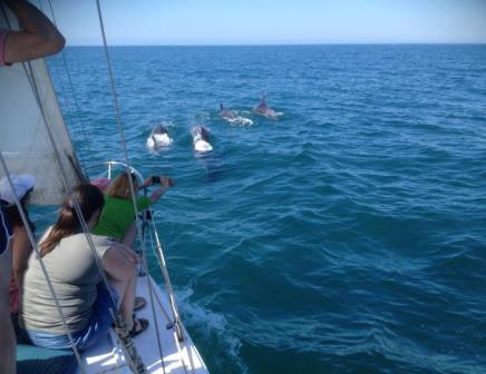 Islas del Algarve Portugués en velero - 7 días. Irconniños.com