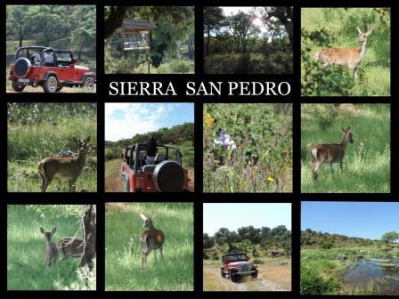 Ruta 4x4 con niños. Irconniños.com