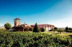 Experiencia en Bodega Viña Ijalba con niños. Irconniños.com