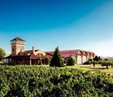 Experiencia en Bodega Viña Ijalba con niños. Irconniños.com