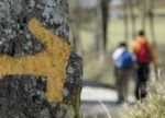 Camino de Santiago desde Sarria. Irconniños.com