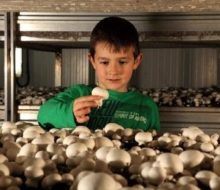 Vino y champiñon de Autol y Pradejón en familia. Irconniños.com