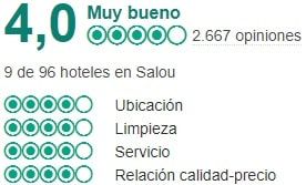 tripadvisor