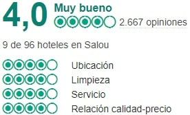 tripadvisor